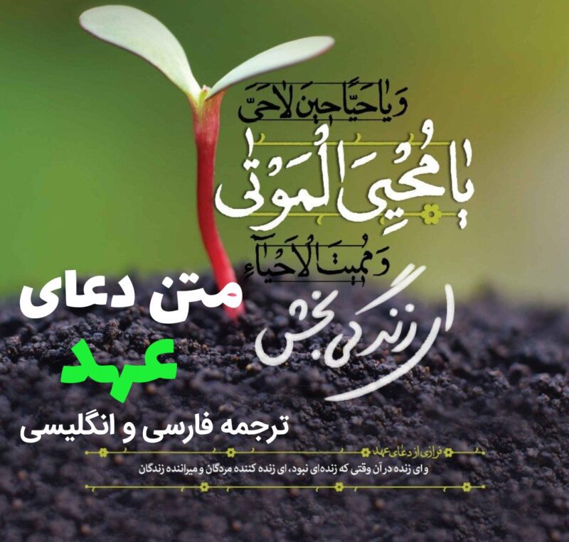 متن دعای عهد