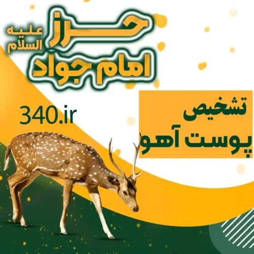 تشخیص پوست آهو اصل، 11 روش