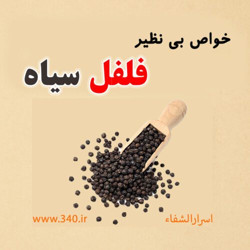 فلفل سیاه