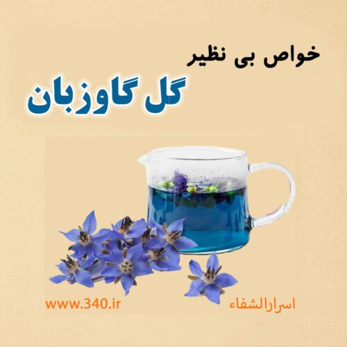 گل گاو زبان