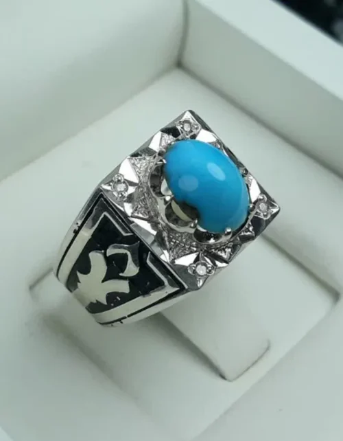 فیروزه عجمی کد 3695